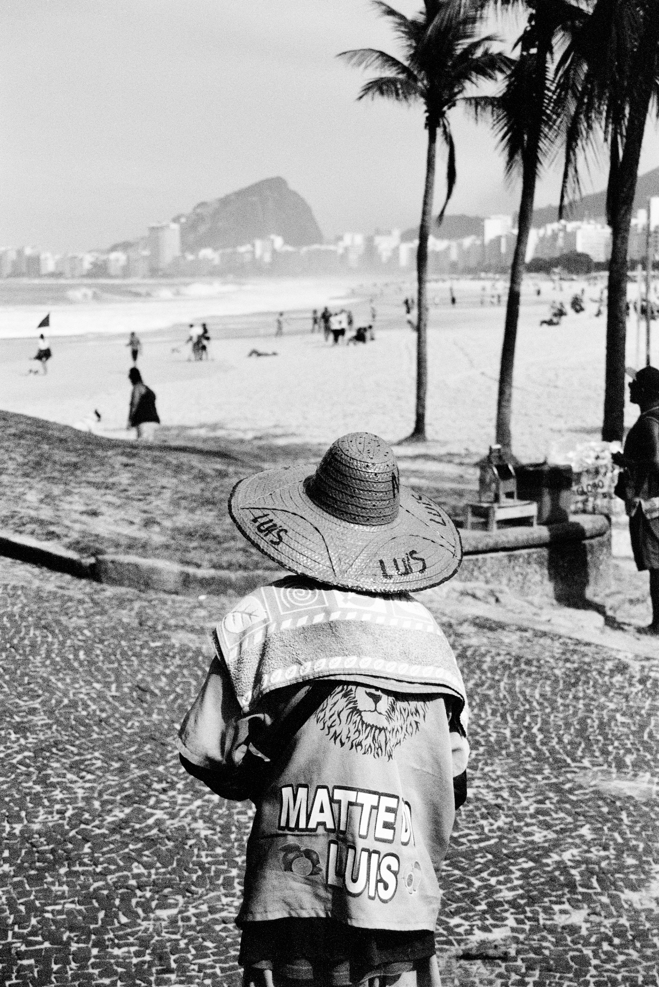 Mate leão